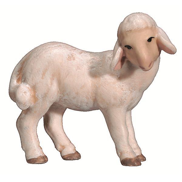 Lamb standing - color