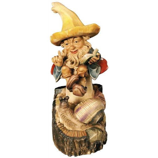 Gnome with snail - color