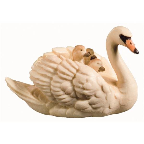 Swan with chick - color
