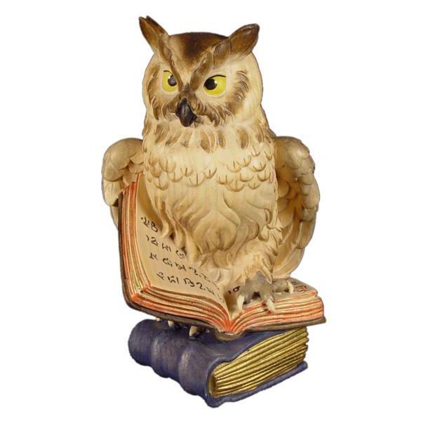Owl on book - color