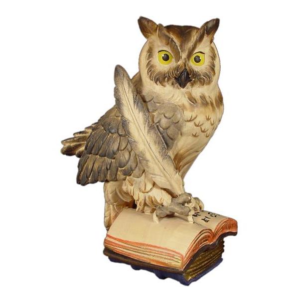 Owl on book with feather - color