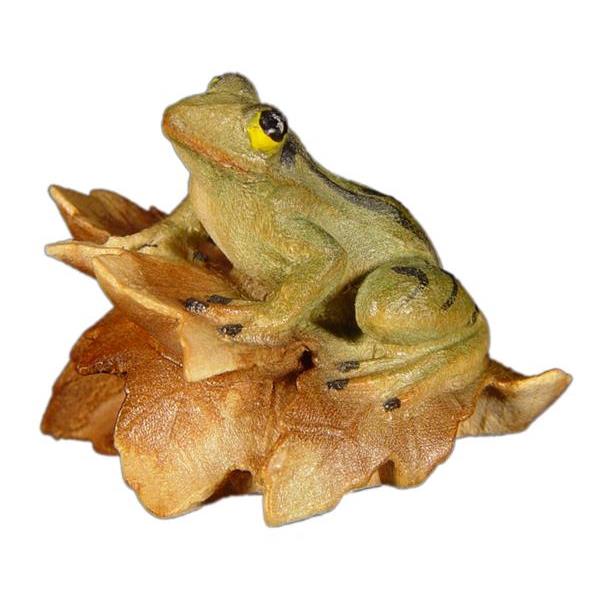 Frog on leaves - color
