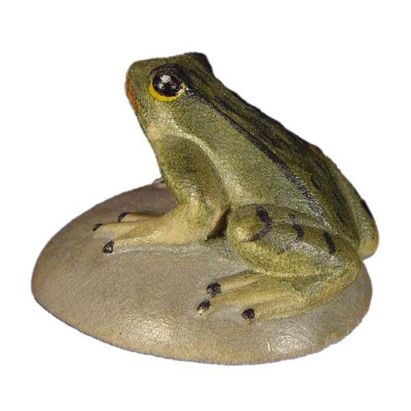 Frog on stone - color