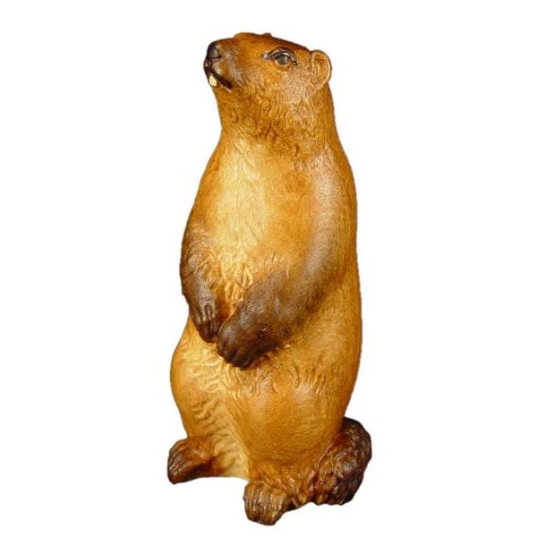 Marmot standing - color