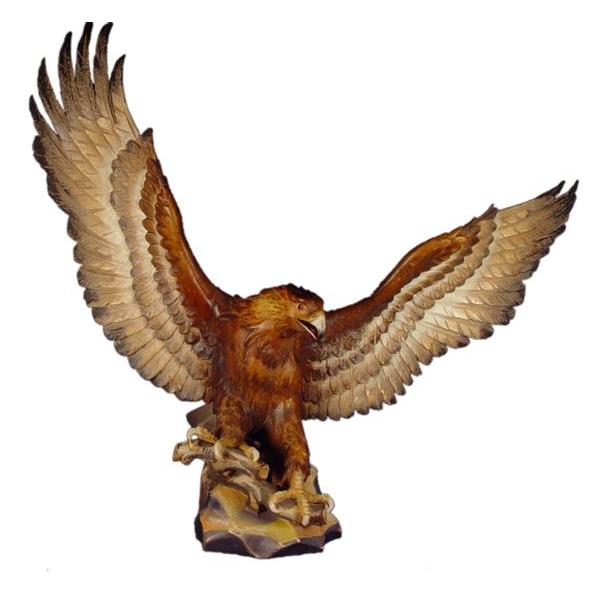 Golden eagle in linden wood - color