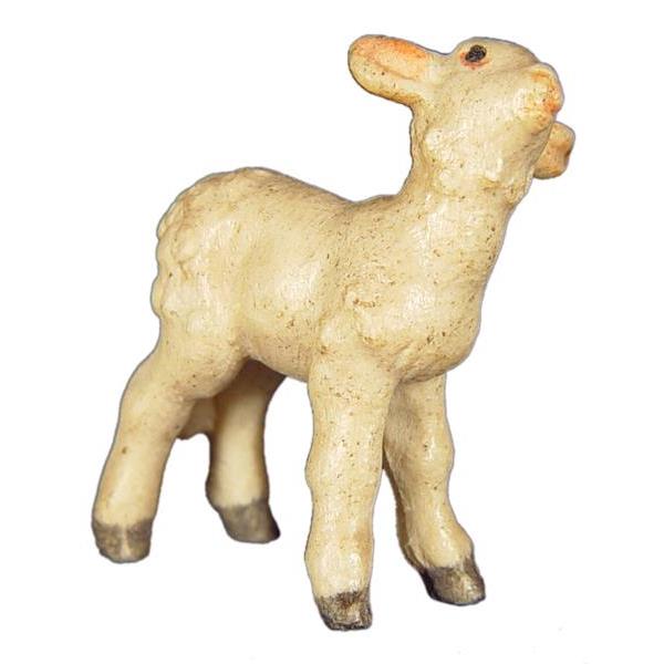 Lamb standing upright - color
