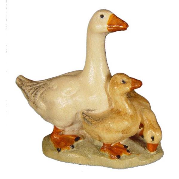 Goose with ducklings - color