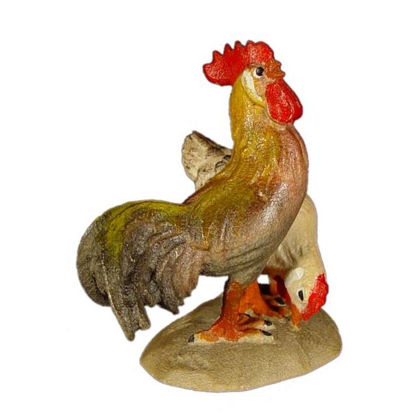 Group cock - hen - color