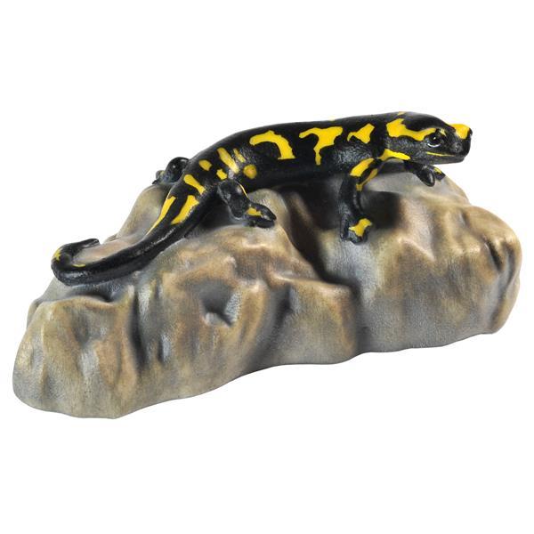 Salamander on stone - color