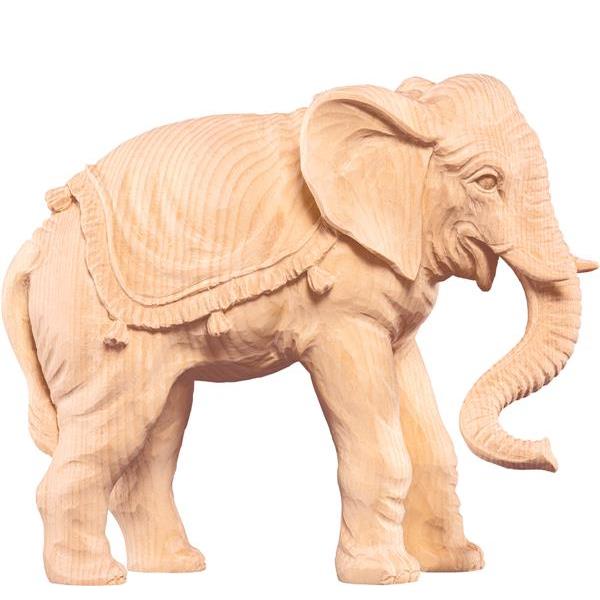 Elefante R.K. - naturale
