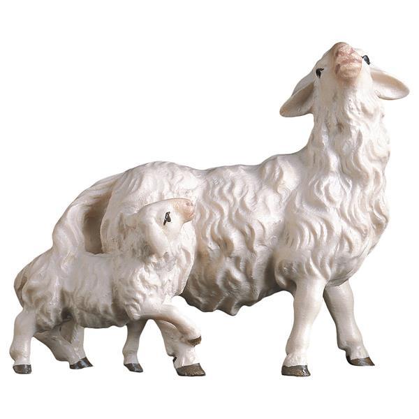 PA Pecora con agnello dietro - colorato