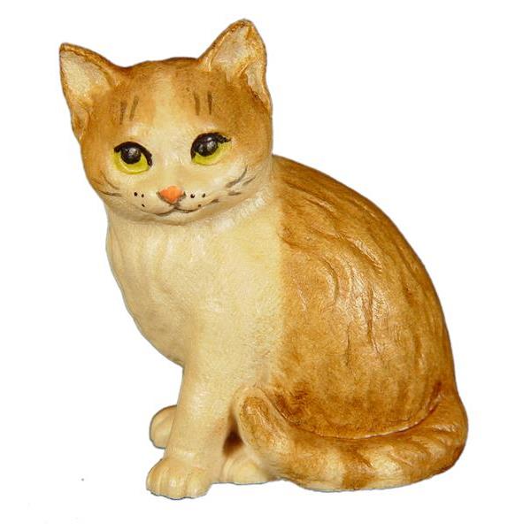 Gattino destro - colorato