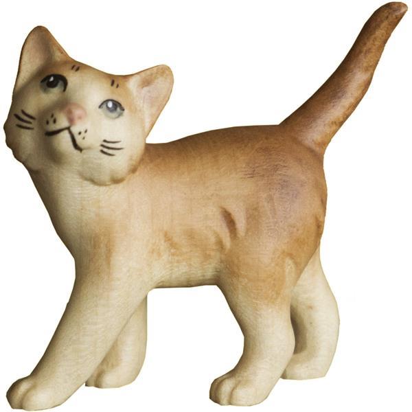 Gattino in piedi destro - colorato