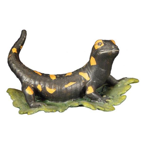Salamandra - colorato