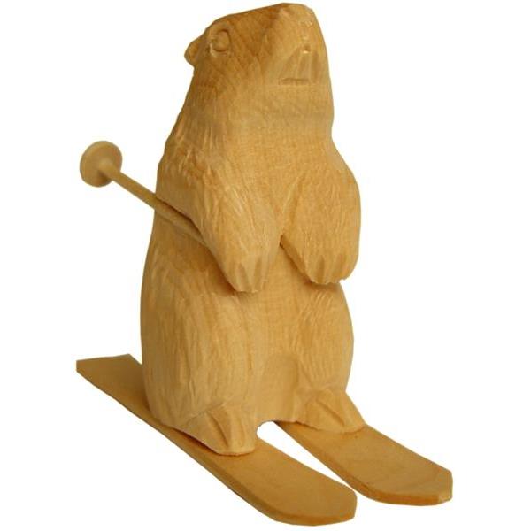 Marmotta con sci in cirmolo - colorato