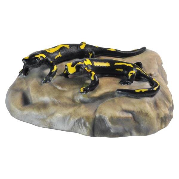 Coppia di salamandre su pietra - colorato
